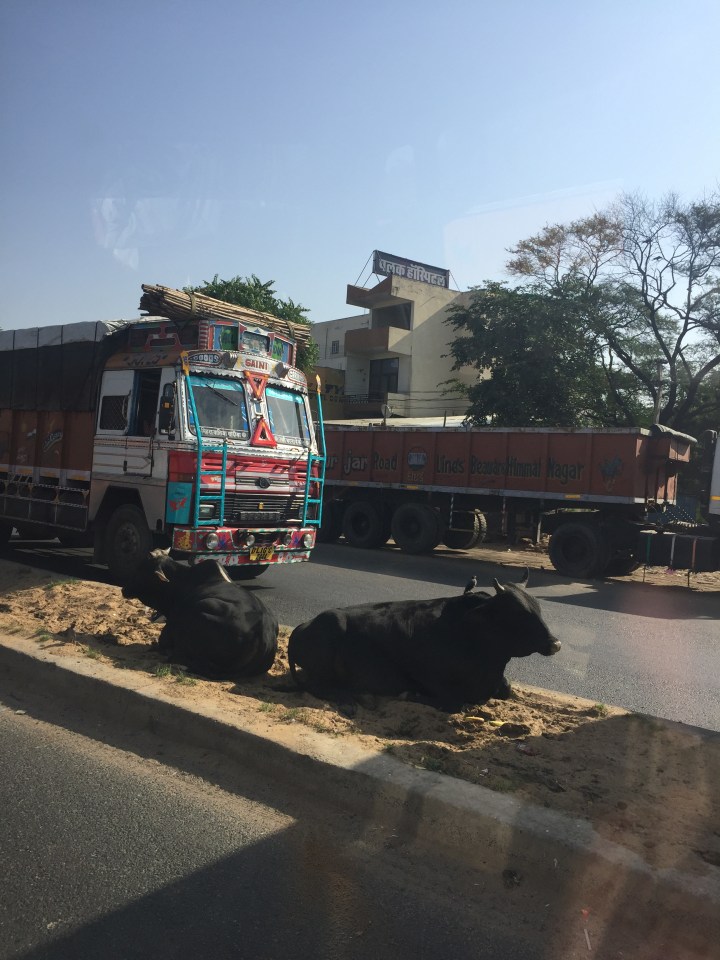 Indian Truck